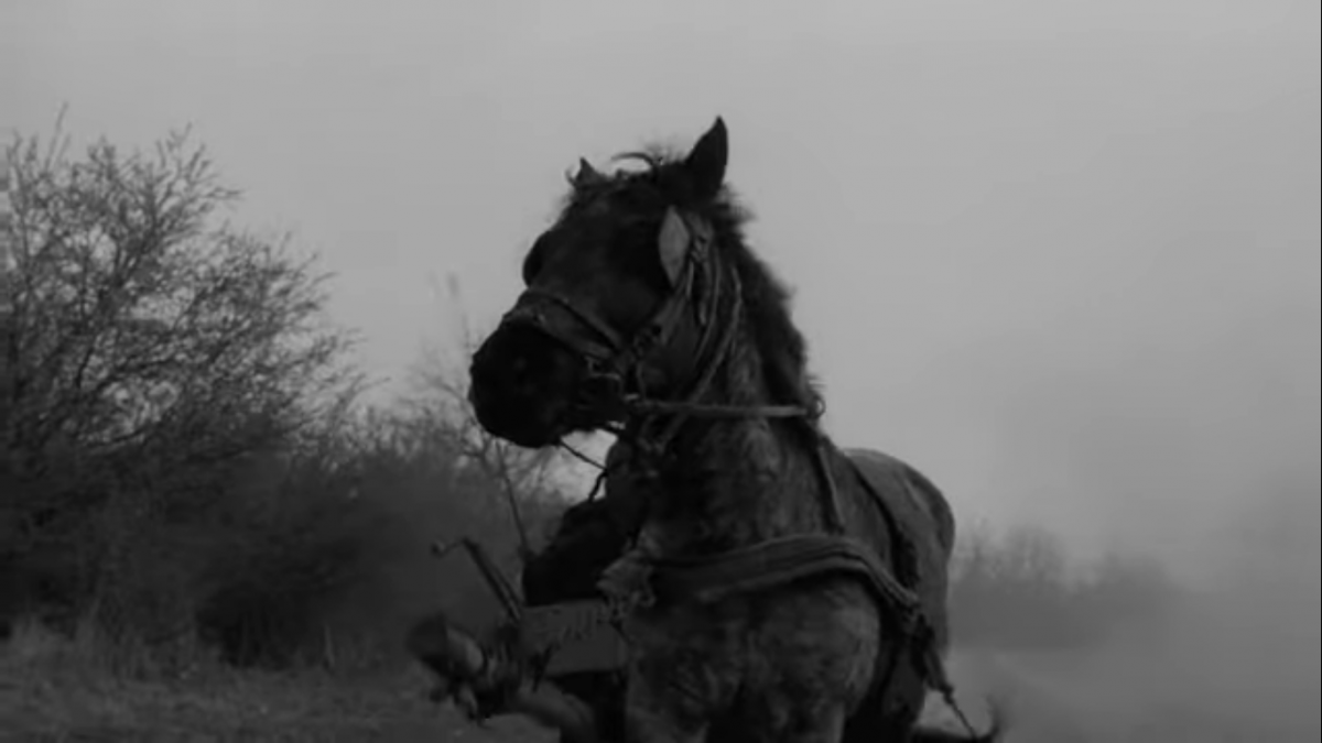 Tarr Béla: A torinói ló c. filmjéből